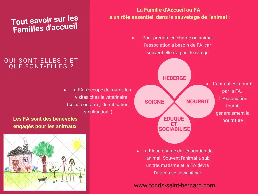 Qu’est-ce qu’une famille d’accueil pour animaux ?
