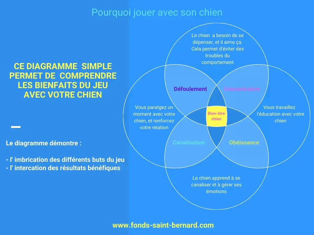 Pourquoi et comment jouer avec son chien ?
