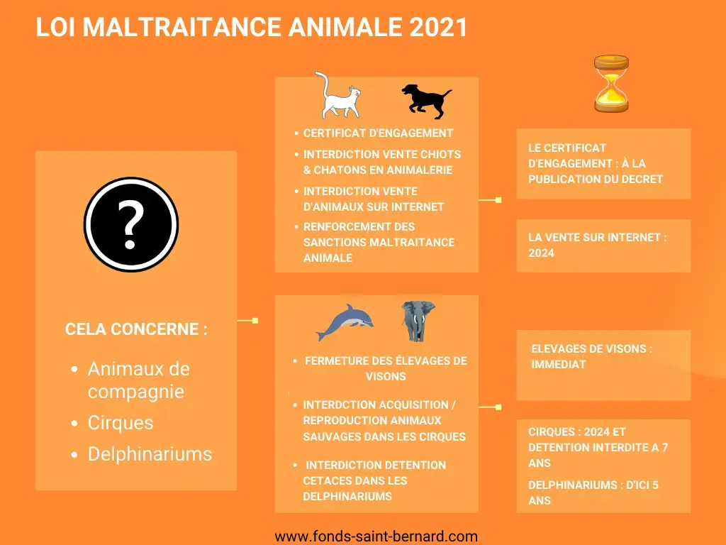 La loi sur la maltraitance animale définitivement adoptée par le Sénat