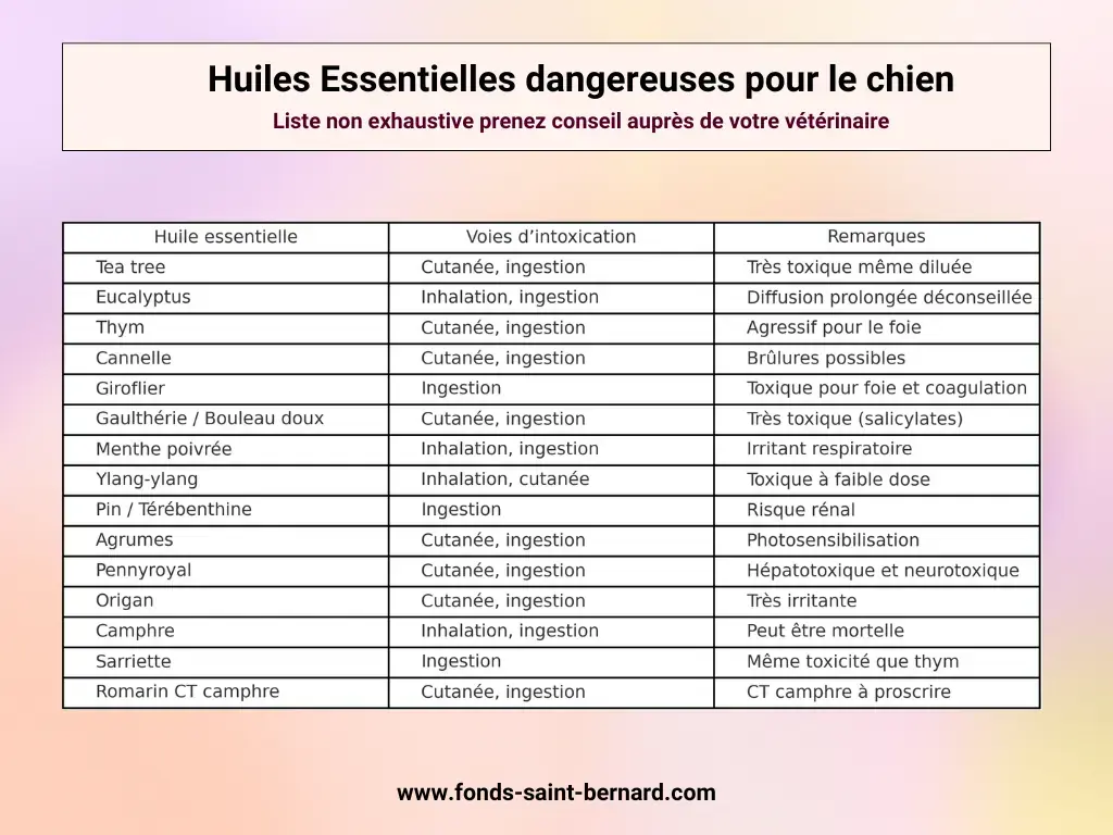 Quelles sont les huiles essentielles toxiques pour le chien ?