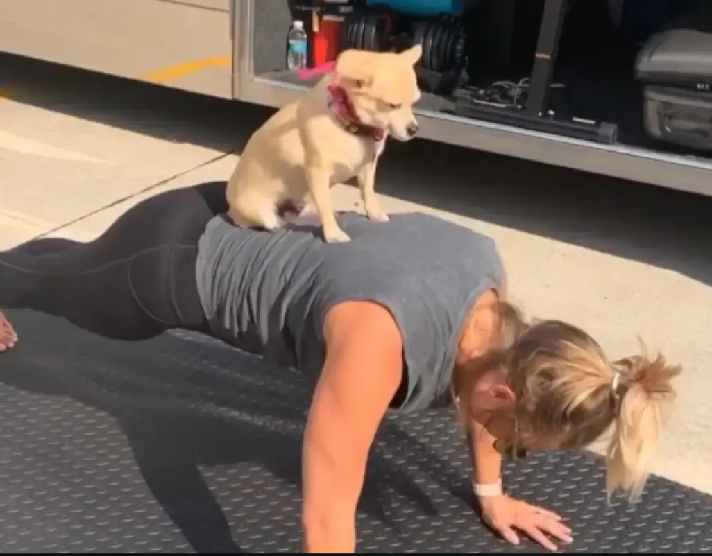 l'actrice Miranda en train de faire des pompes avec le chihuahua sur le dos