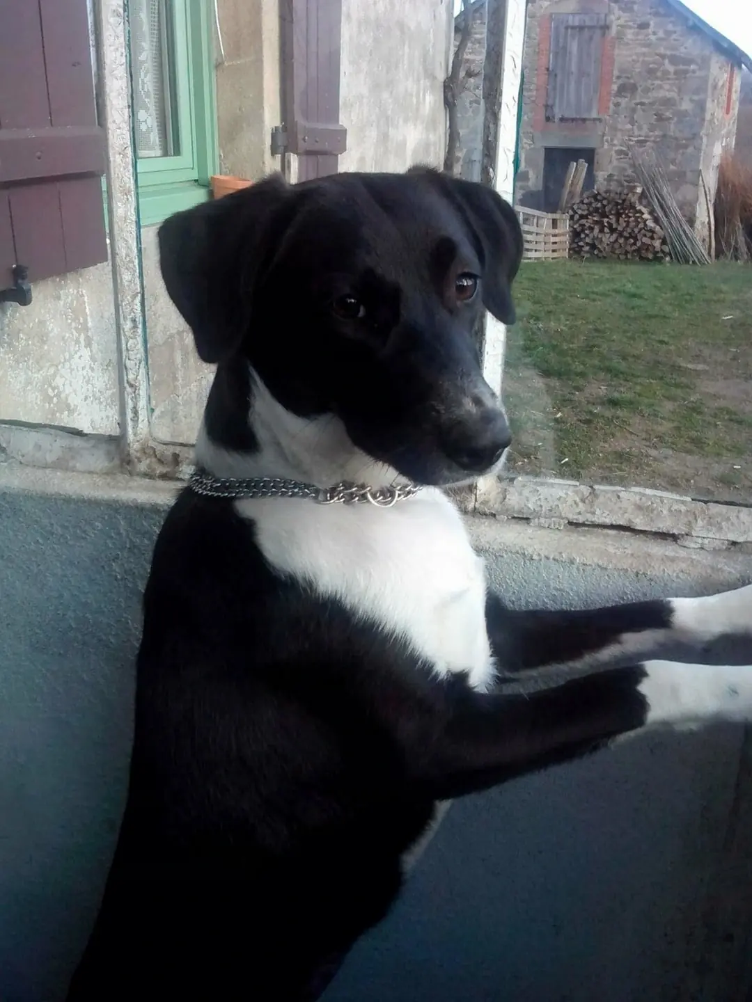 &laquo; J&rsquo;ai &eacute;t&eacute; Famille d&rsquo;Accueil &raquo; TEMOIGNAGE de Ma&euml;lle