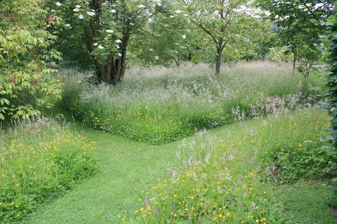 Pourquoi et comment accueillir les chauves-souris dans son jardin?