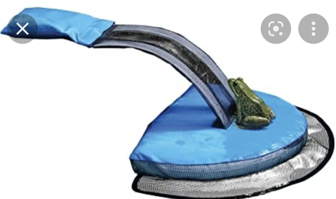 Piscine : Sauver les petits mammifères de la noyade !