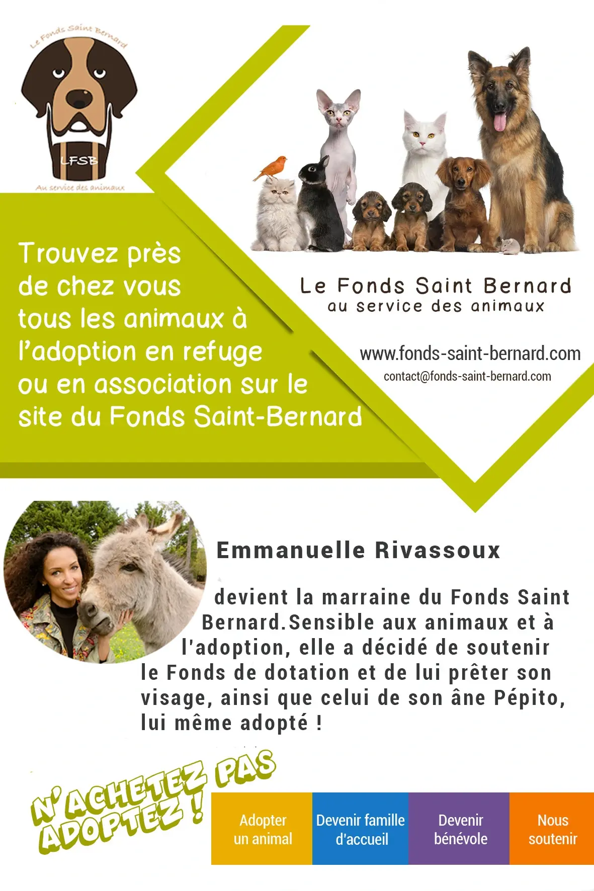 Bilan 2018 Du Fonds Saint Bernard