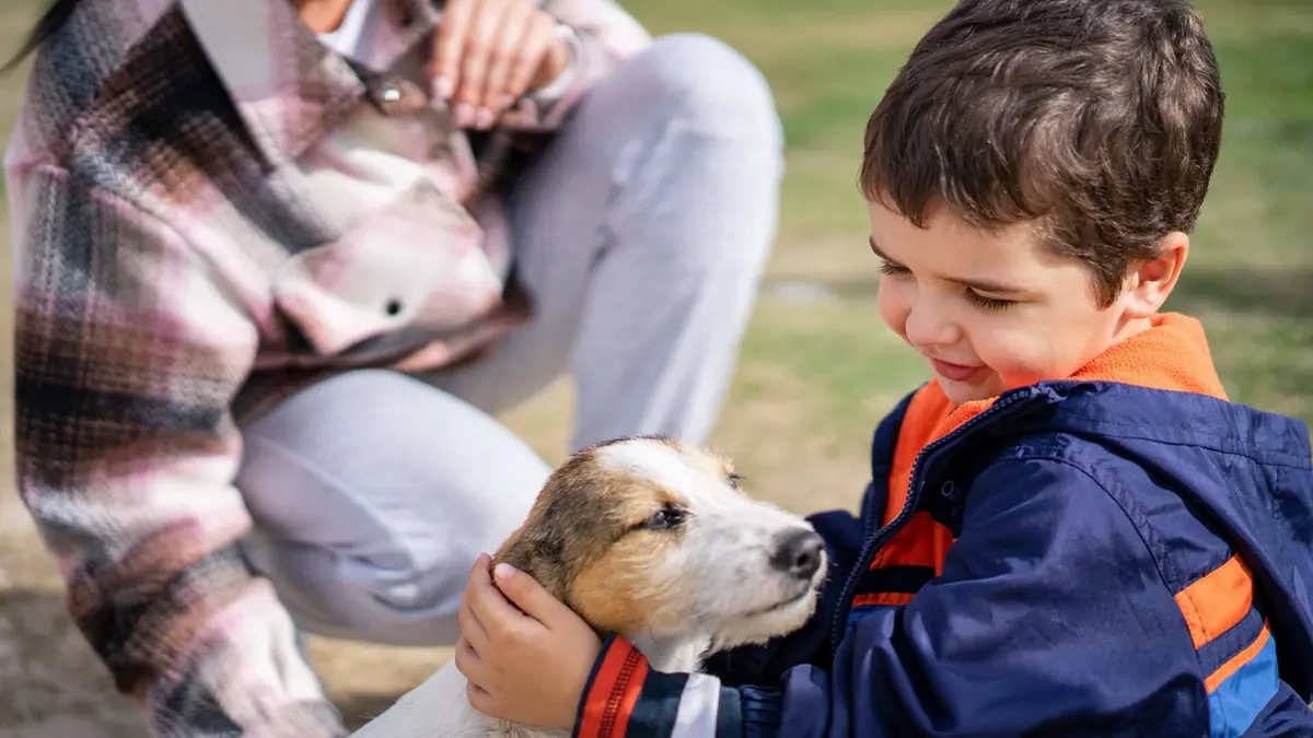 enfant qui rencontre un chien au refuge