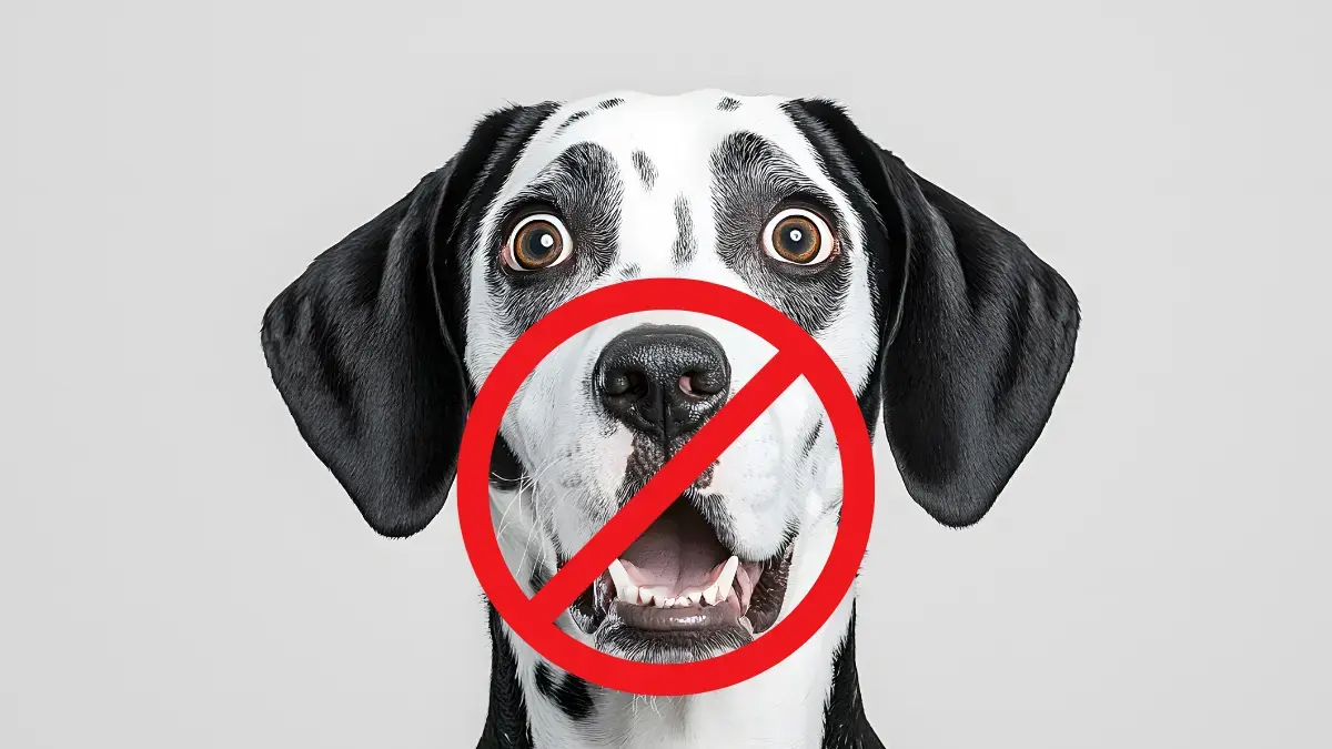 Currumbin ecovillage, animaux de compagnie, interdiction