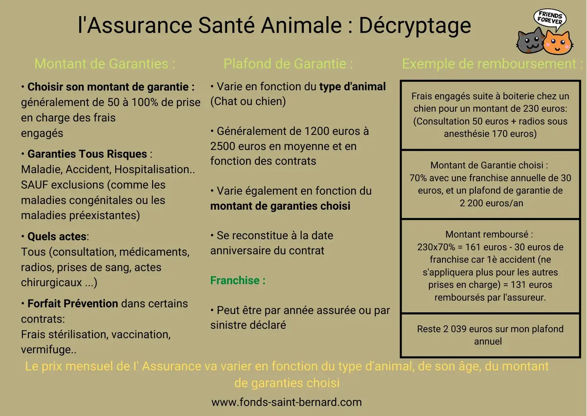 L’Assurance santé animale : pour quelles raisons assurer son animal ?