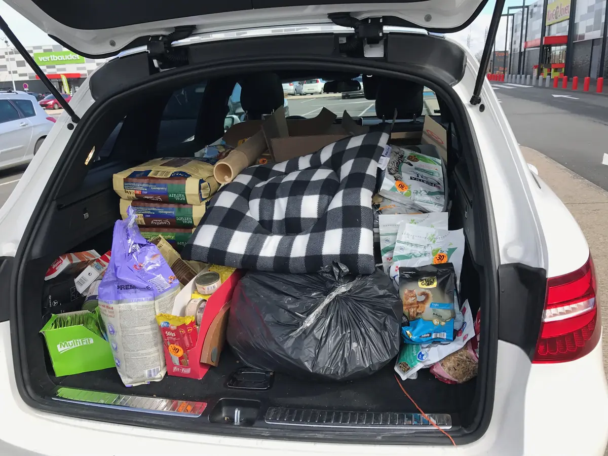 Collecte chez notre partenaire maxi zoo 16 mars 2018