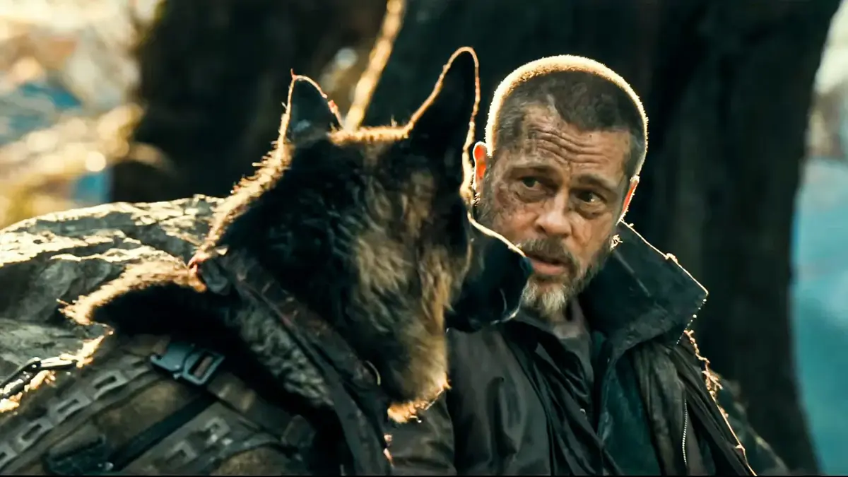 Berger Allemand sauv&eacute; par son ma&icirc;tre dans un film &eacute;mouvant sur la relation entre l'homme et l'animal