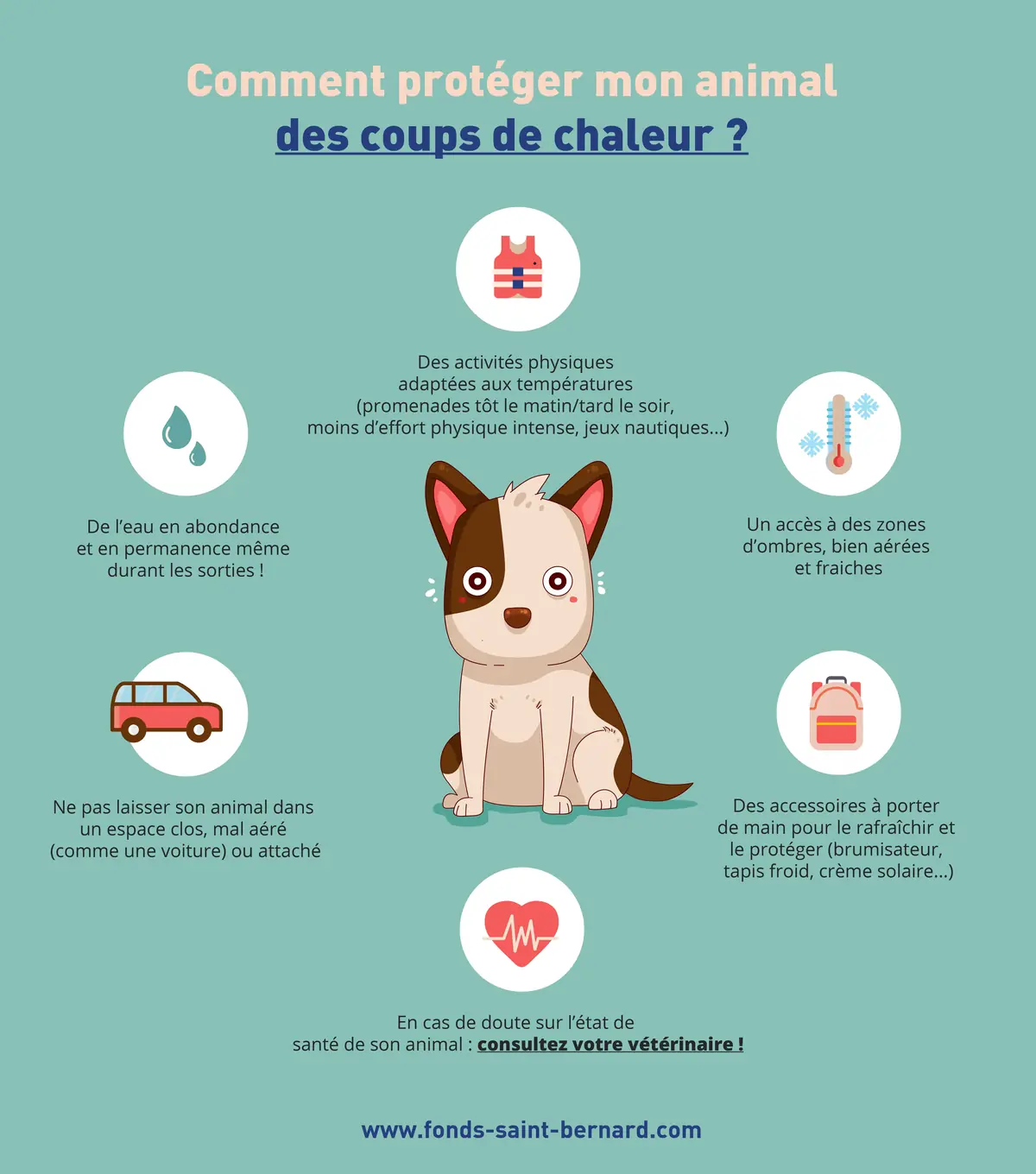 Coup de chaleur : les bons gestes à adopter pour votre animal !