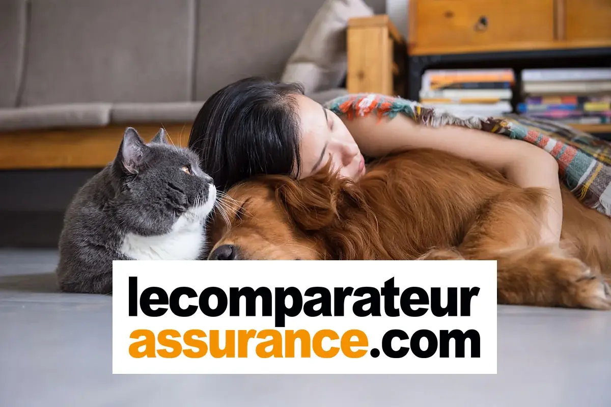 3 conseils pour économiser sur son assurance santé animale