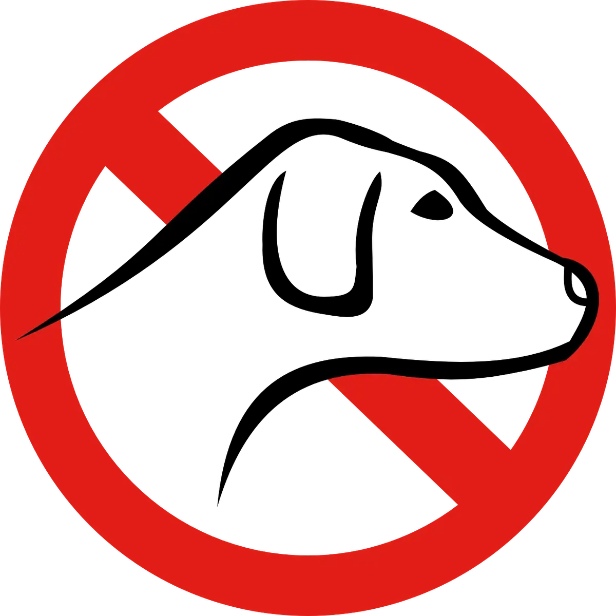 Peut-on détenir un animal lorsque l’on est locataire ? vos droits et obligations