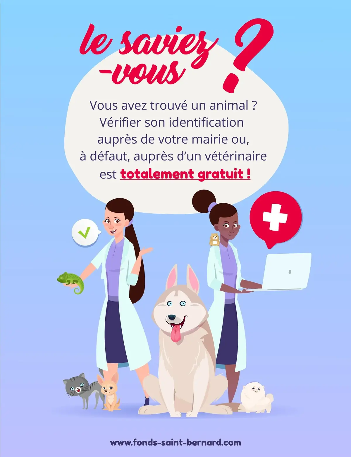 Animal trouvé, domestique ou sauvage : comment réagir?