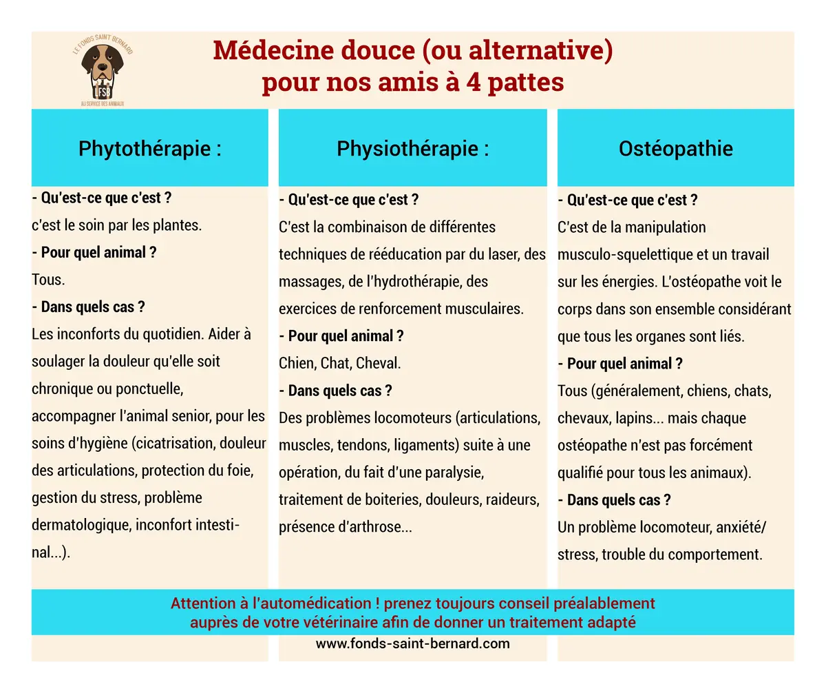 Les médecines alternatives pour soigner nos animaux de compagnie
