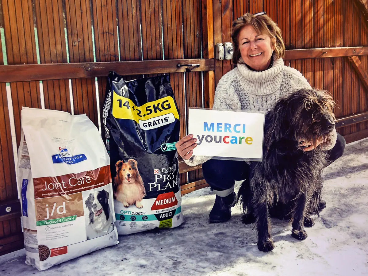 YouCare, le moteur de recherche solidaire qui aide les animaux de refuges !