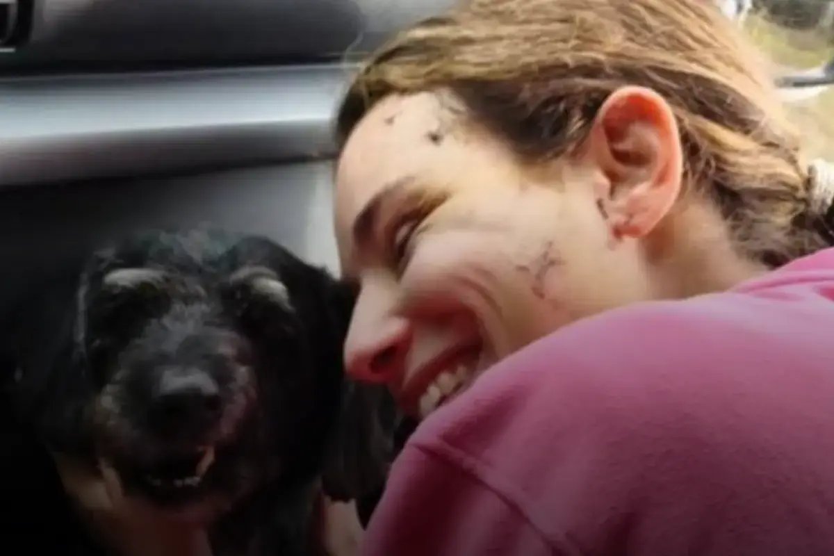 Boro chien accident train