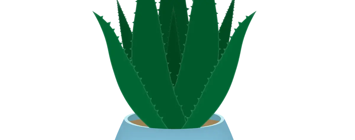 Les bienfaits de l’aloé Vera pour nos animaux de compagnie