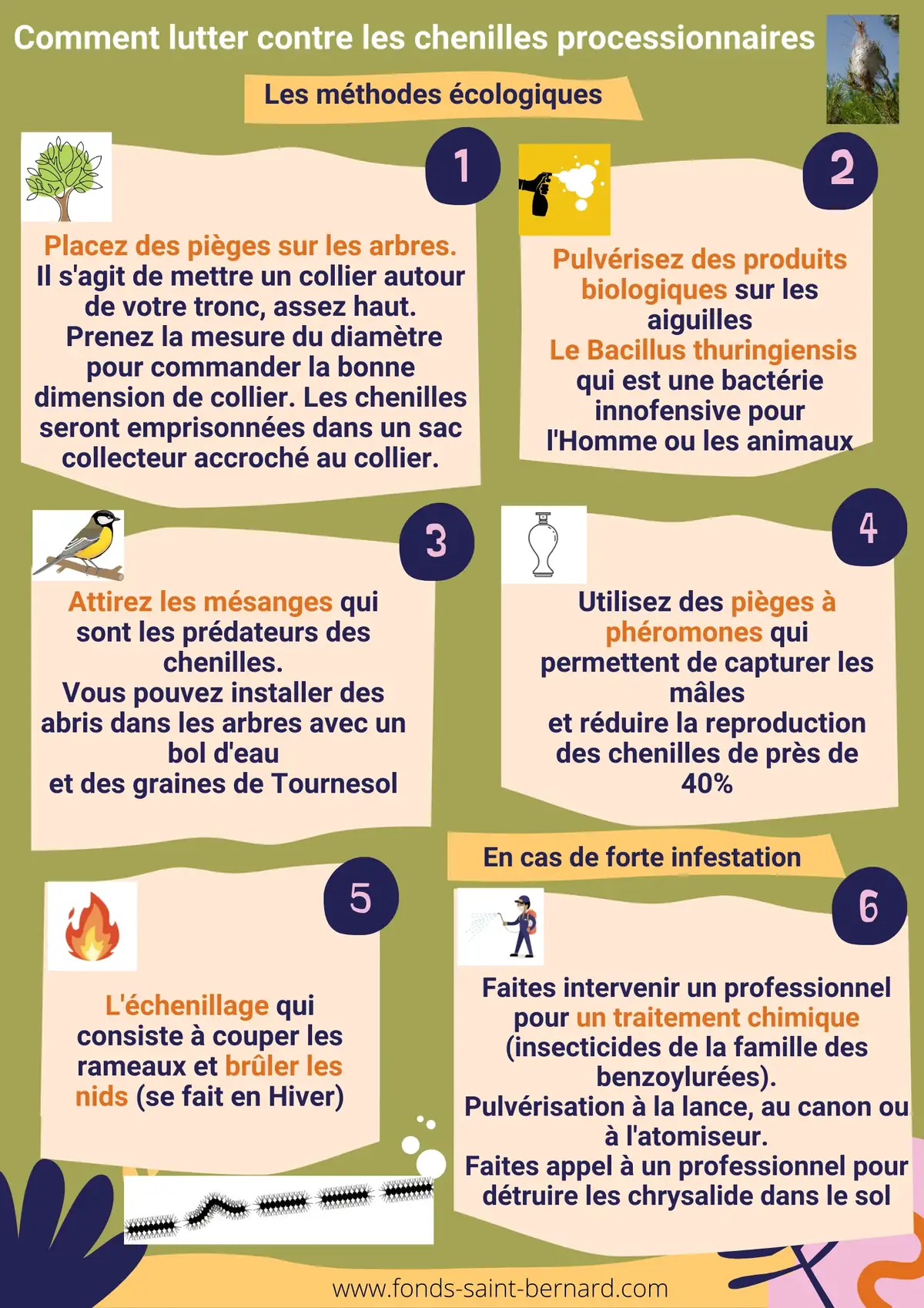 Lutter contre les chenilles processionnaires