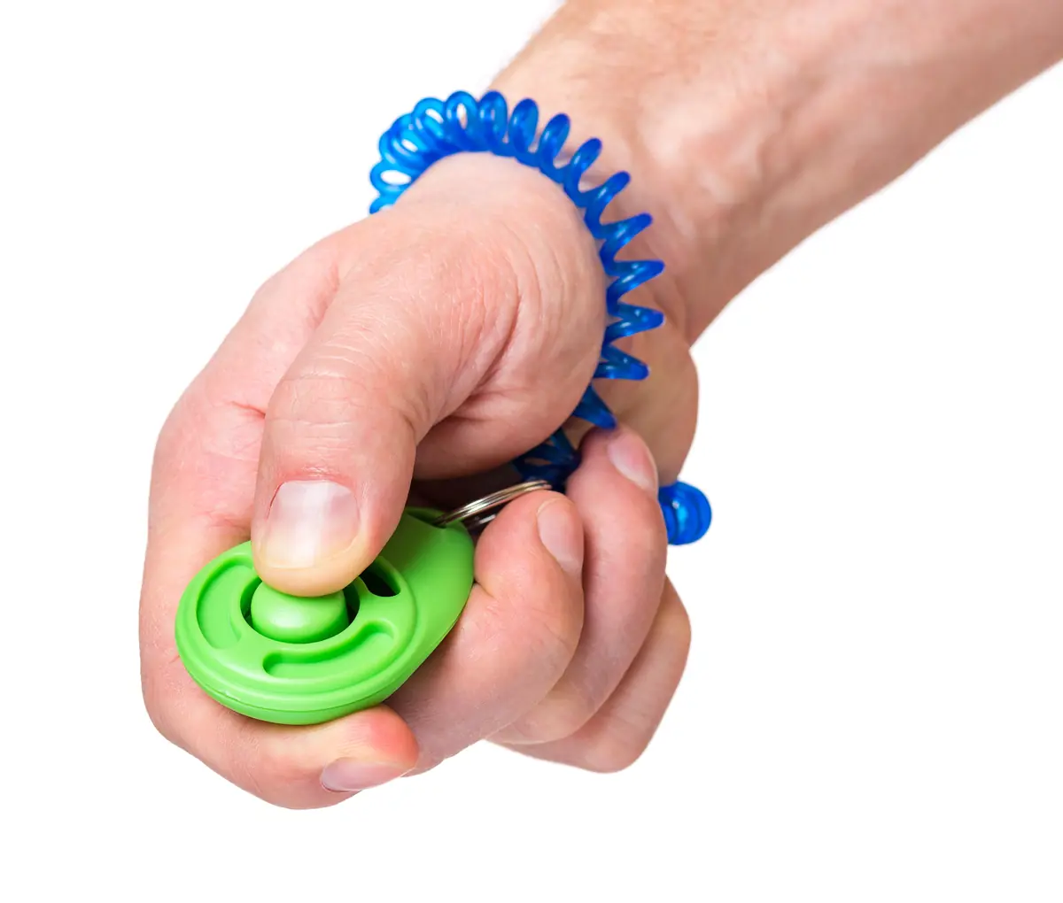 Covid-19 : Comment distraire son chien en période de confinement ?