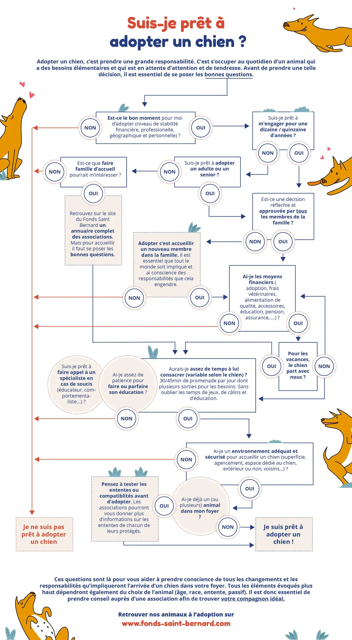 Suis-je prêt à adopter un chien ou un chiot ?