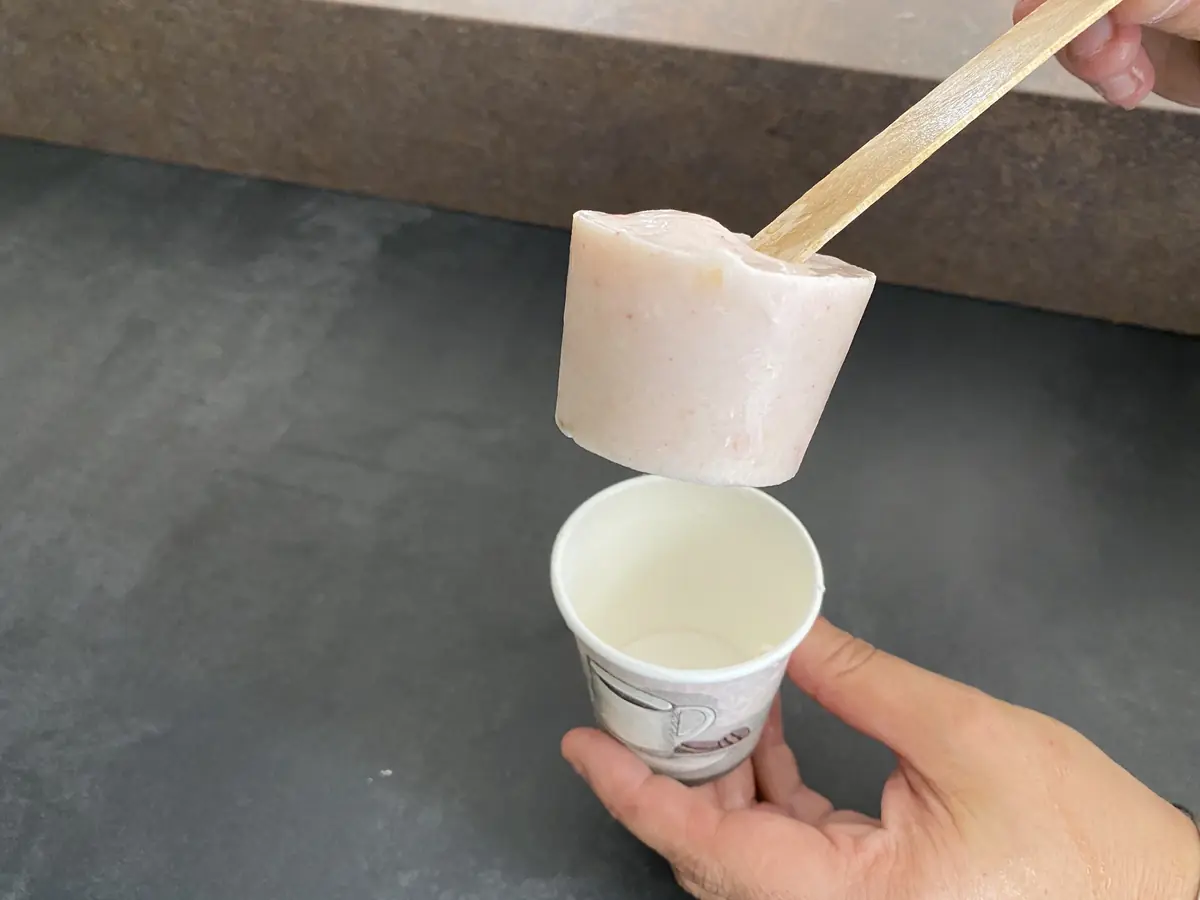 DIY Comment préparer une glace (ou friandise glacée) pour mon chien ou mon chat !