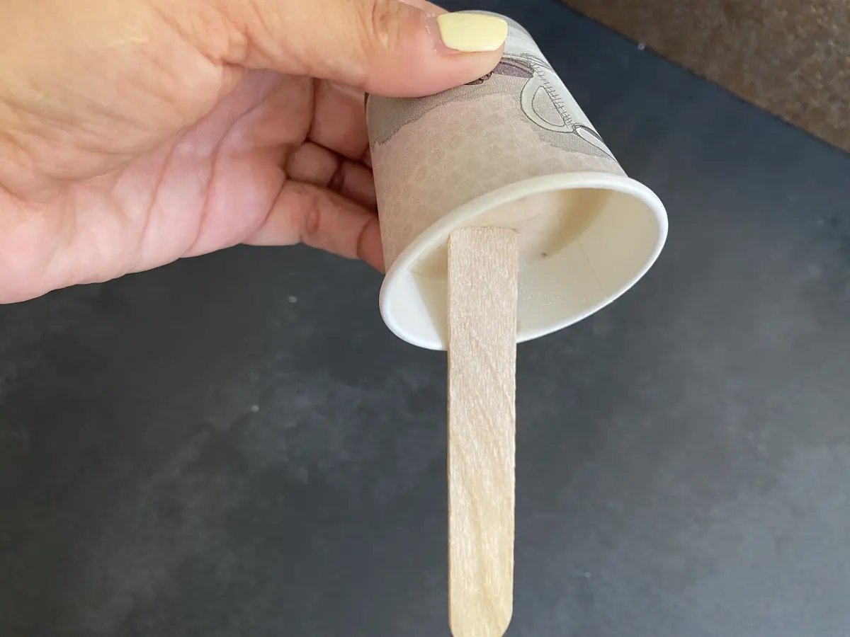 DIY Comment préparer une glace (ou friandise glacée) pour mon chien ou mon chat !