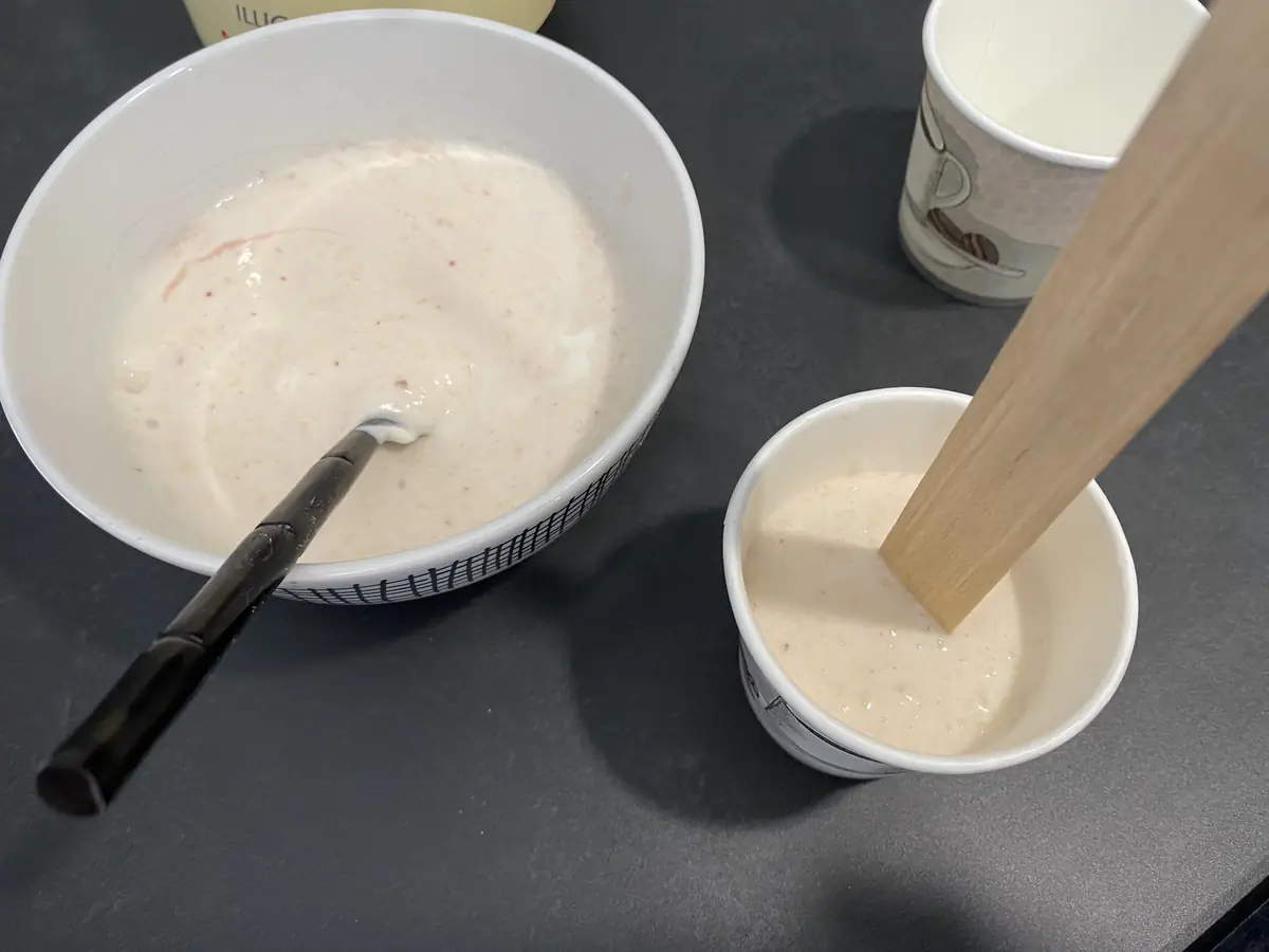 DIY Comment préparer une glace (ou friandise glacée) pour mon chien ou mon chat !