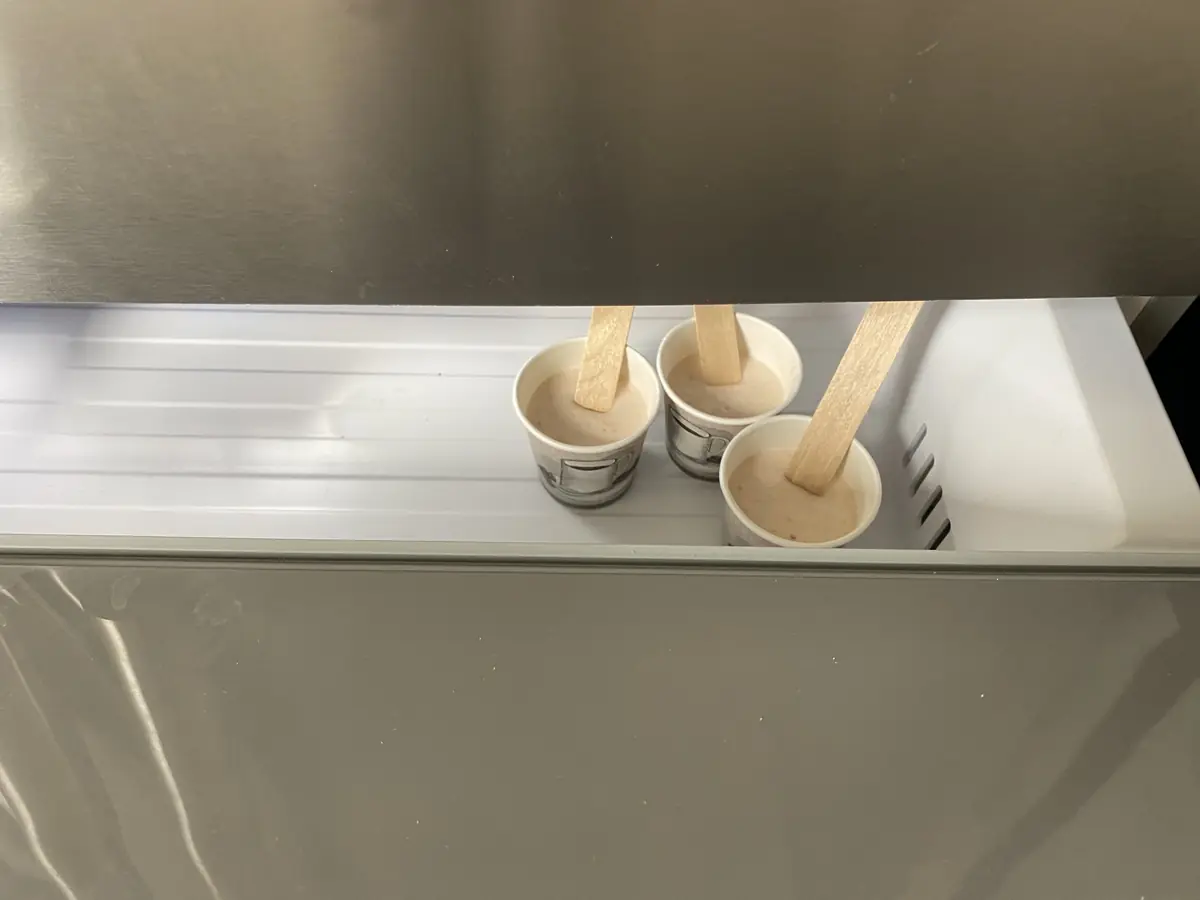 DIY Comment préparer une glace (ou friandise glacée) pour mon chien ou mon chat !