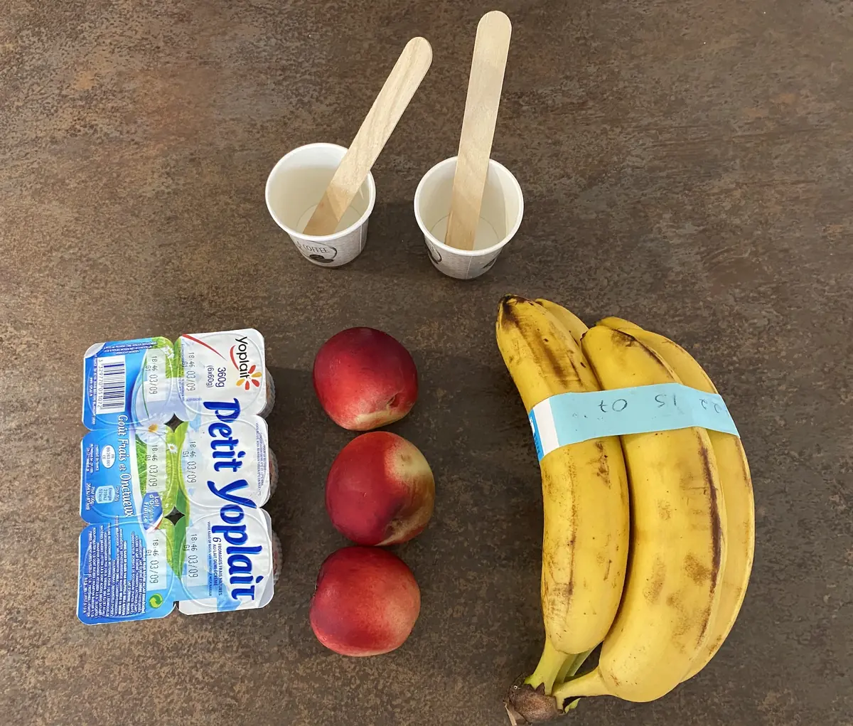 DIY Comment préparer une glace (ou friandise glacée) pour mon chien ou mon chat !