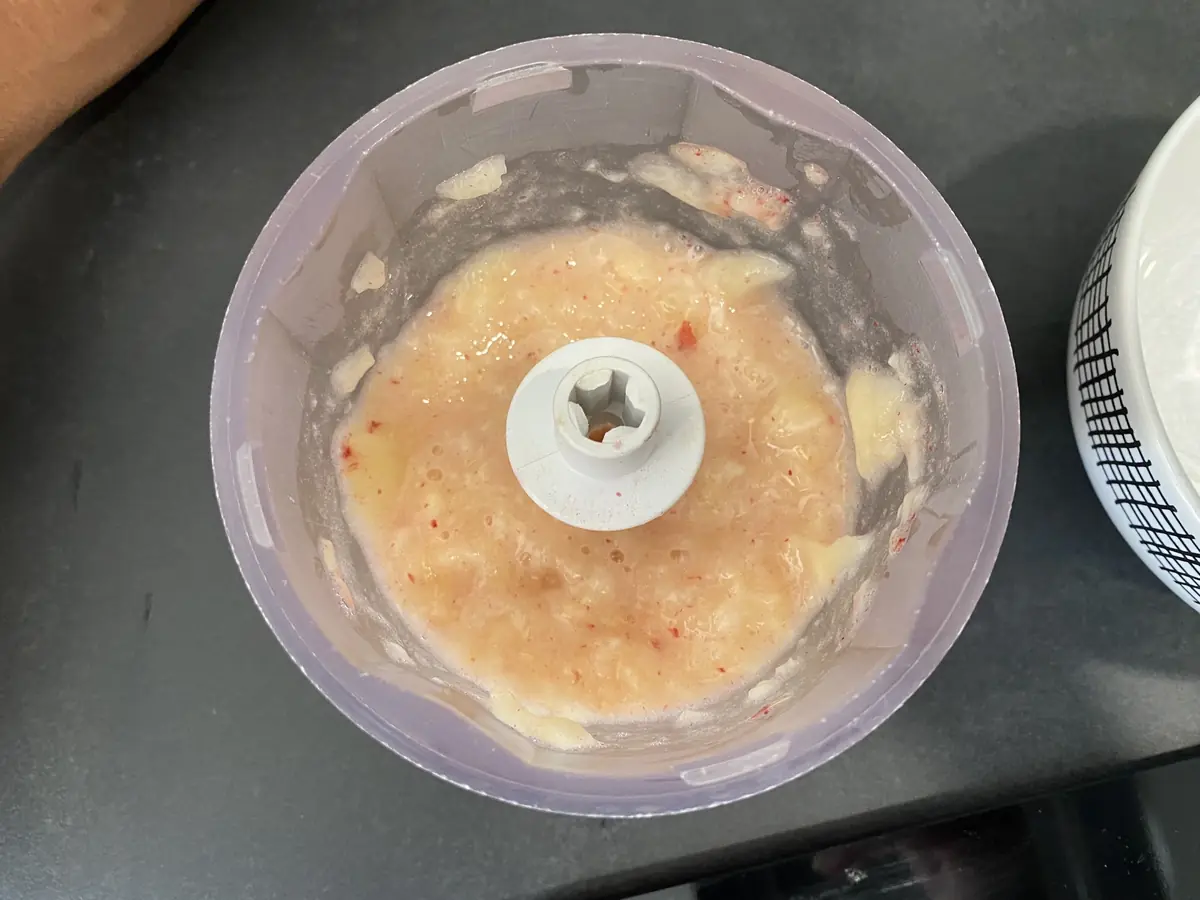 DIY Comment préparer une glace (ou friandise glacée) pour mon chien ou mon chat !