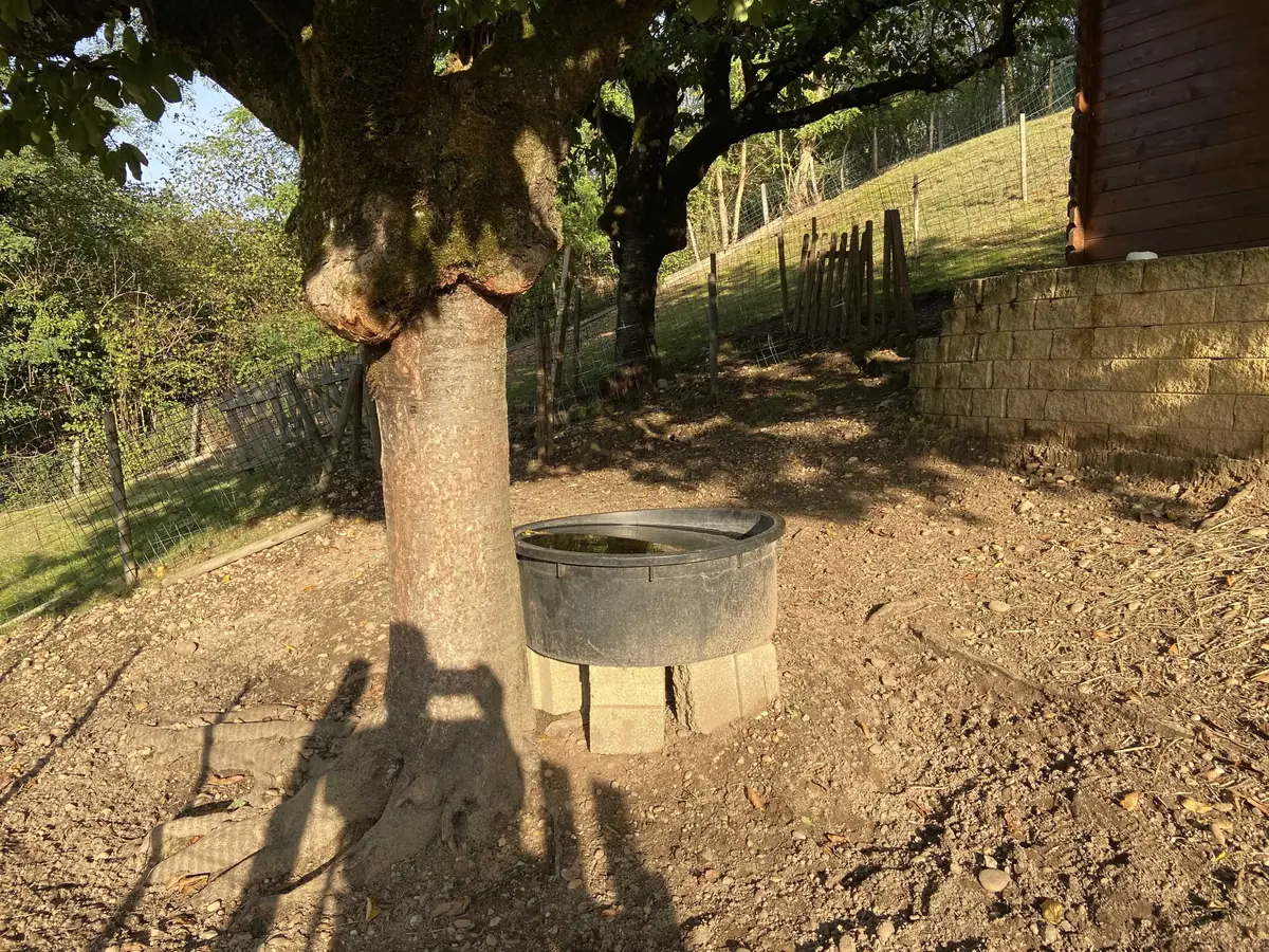 7 Conseils pour bien accueillir des chèvres