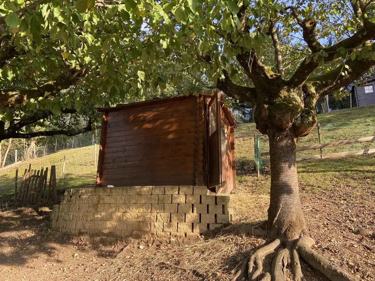 7 Conseils pour bien accueillir des chèvres