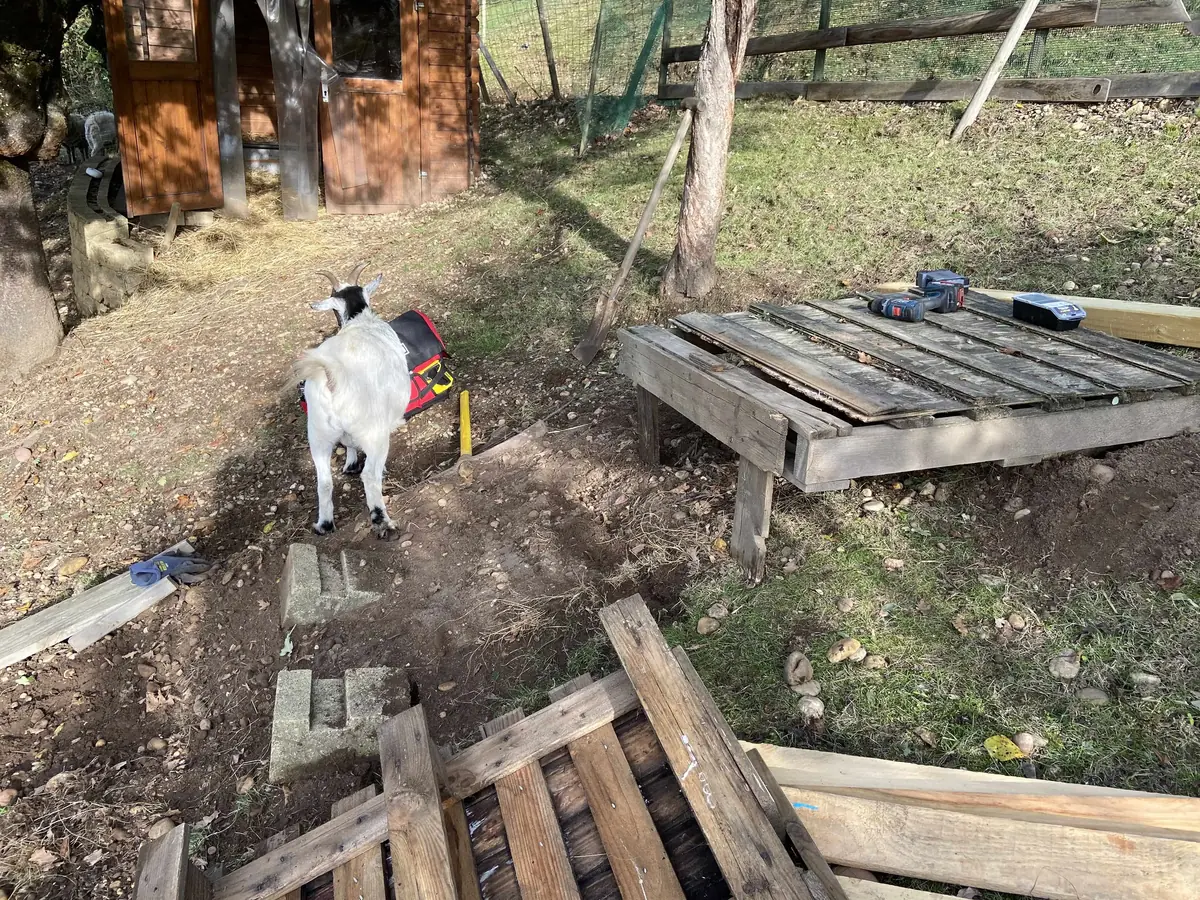 DIY : Plateforme Toboggan pour chèvres