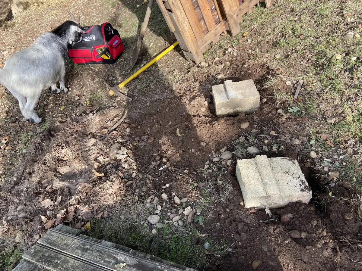 DIY : Plateforme Toboggan pour chèvres