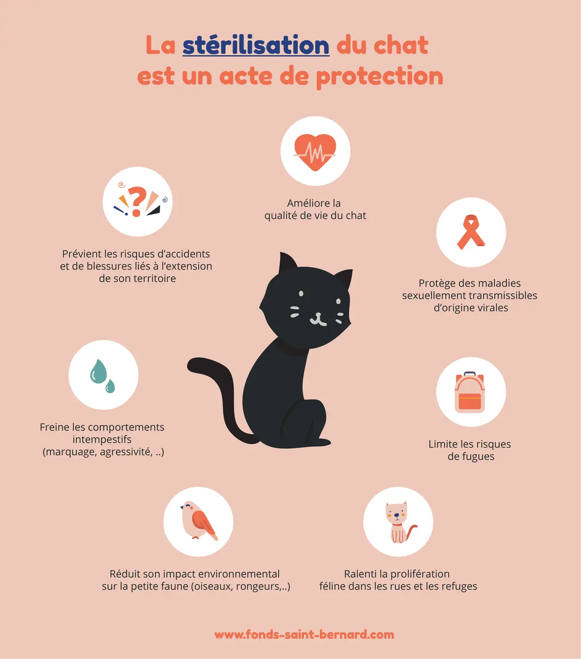 Pourquoi faire stériliser son animal