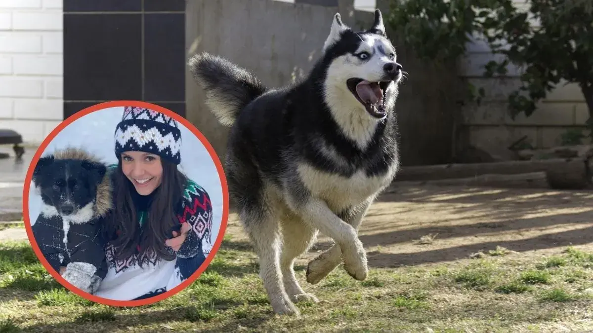 Nina Dobrev, instagram, chien dehors