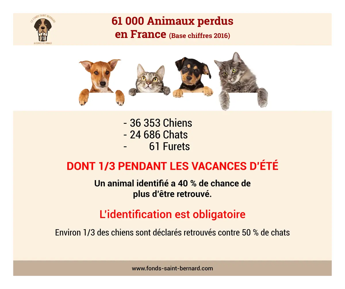 Pourquoi faire identifier son animal ?