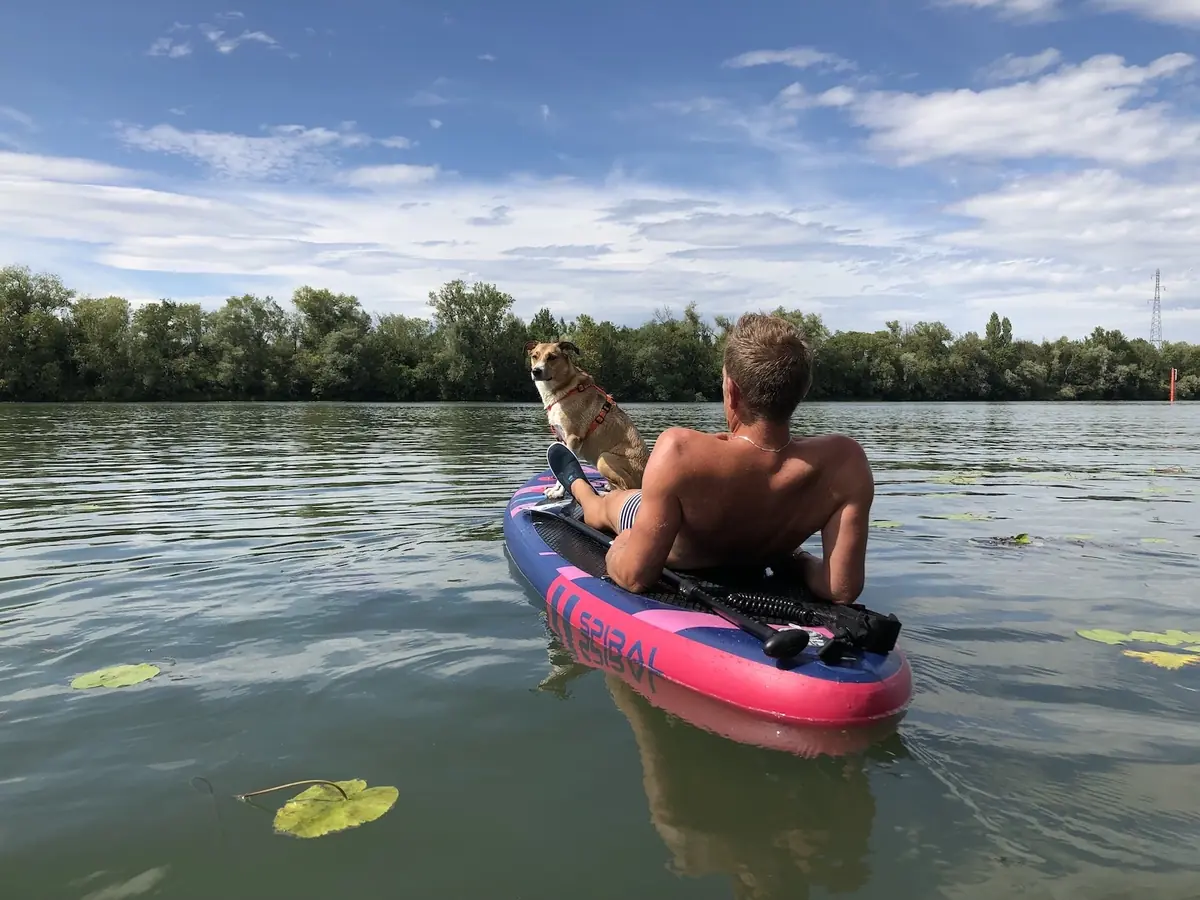 Les bénéfices du stand up paddle avec son chien