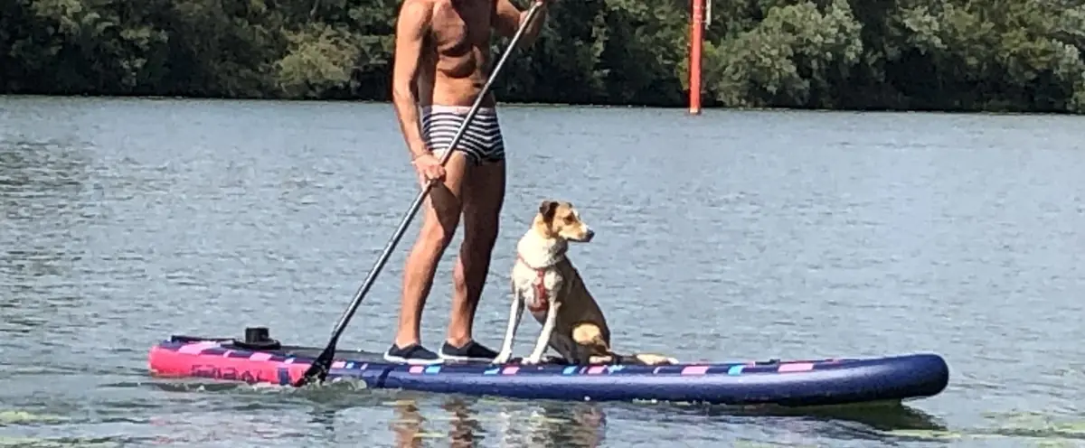 Les bénéfices du stand up paddle avec son chien