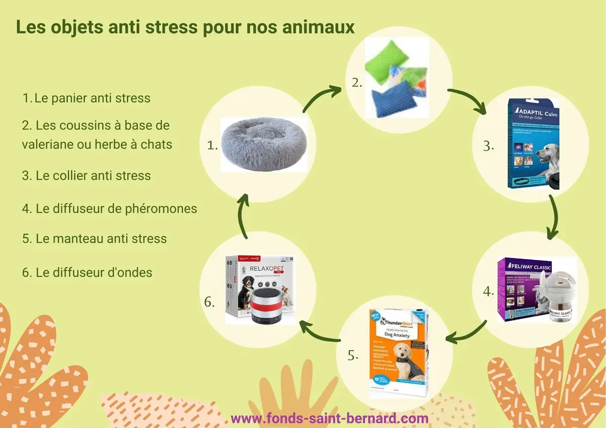 Anxiété, destruction, peur des orages... les objets anti stress à essayer pour votre chat et votre chien!