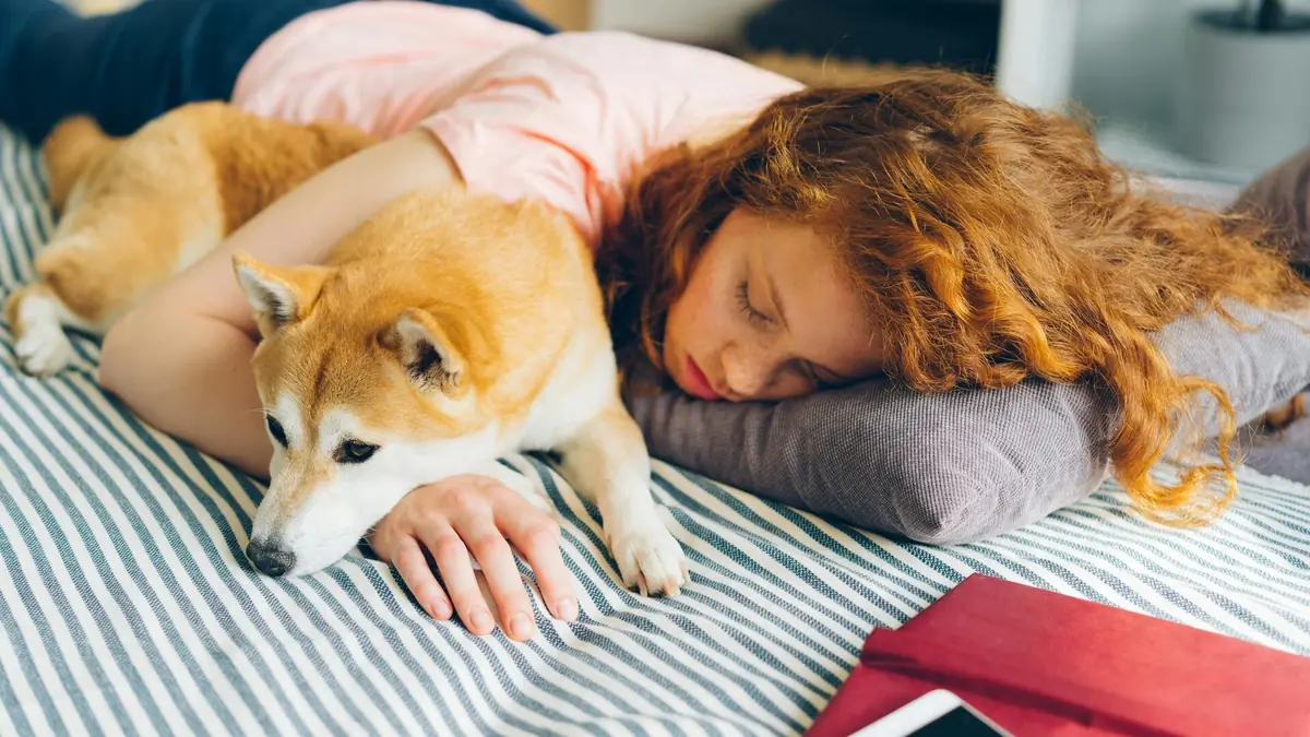&eacute;tudiante endormie sur son lit avec son chien