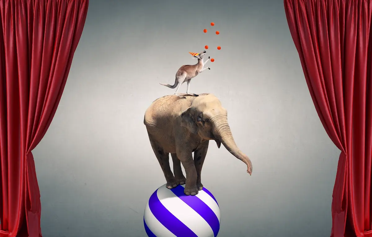 La loi sur la maltraitance animale définitivement adoptée par le Sénat