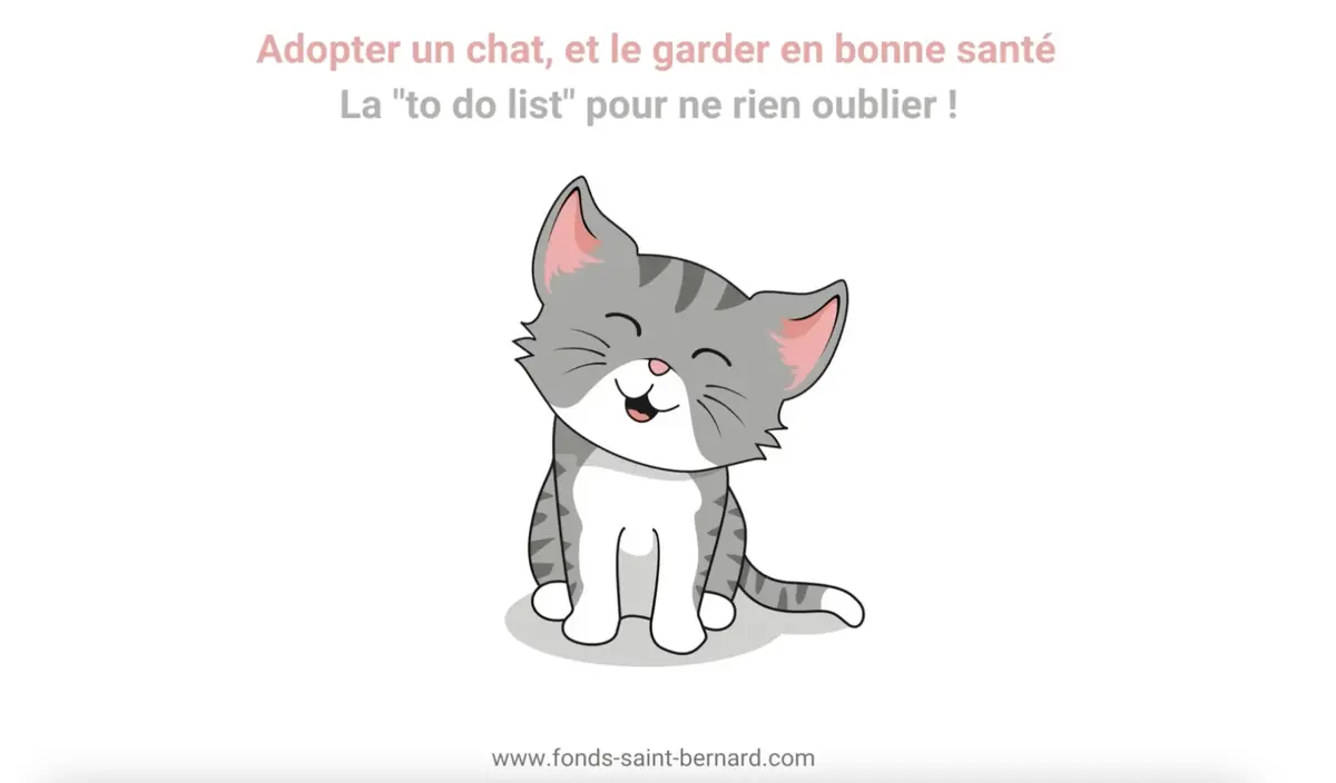 Adopter un chat, penser à tout avant son arrivée 