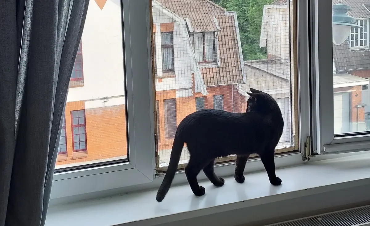 J&rsquo;ai utilis&eacute; le DIY du Fonds Saint Bernard pour prot&eacute;ger L&eacute;on d&rsquo;une chute par la fen&ecirc;tre