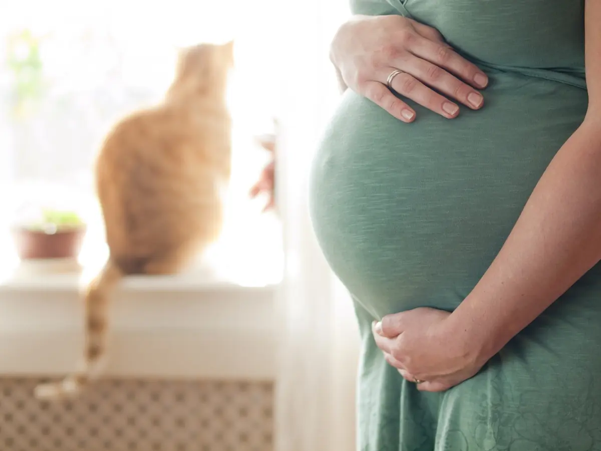Préparer son chat à l’arrivée d’un bébé