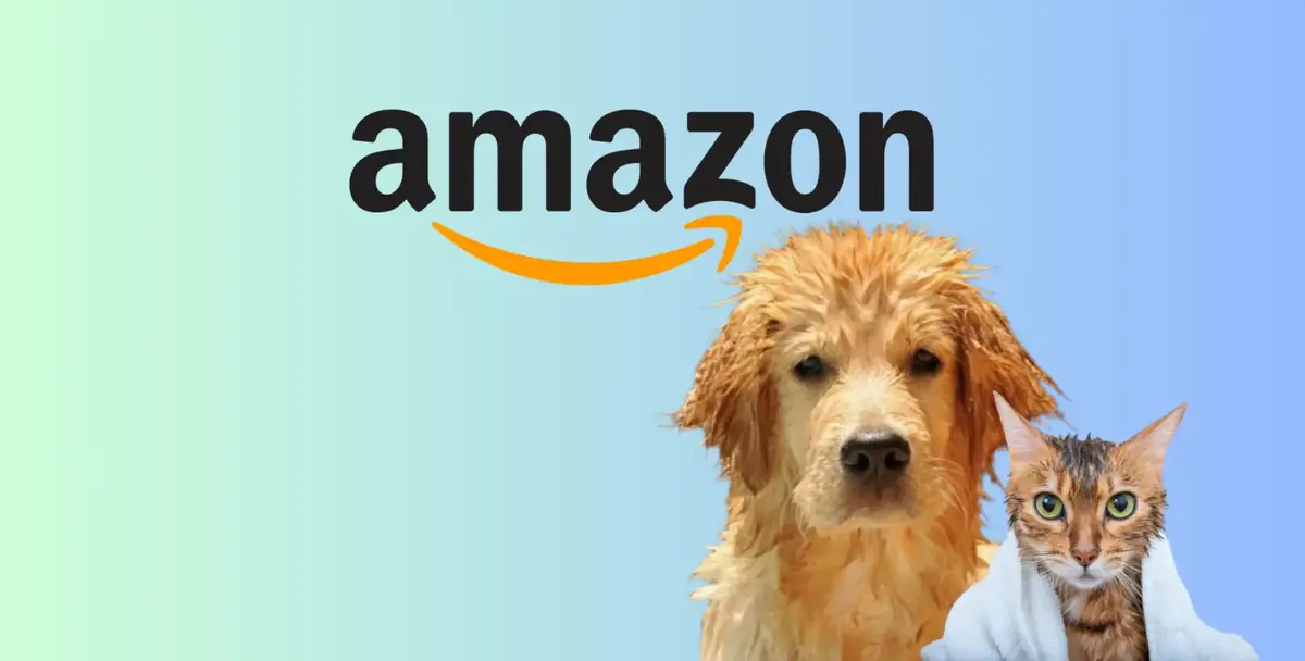 les bons plans pour les chiens et chats cet &eacute;t&eacute; pour lutter contre la chaleur