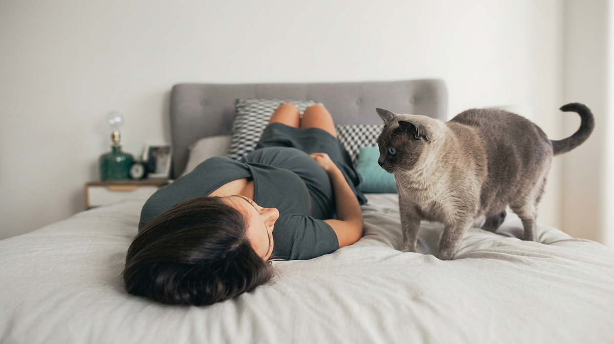 je suis enceinte et j'ai un chat&nbsp;: quels sont les risques&nbsp;?