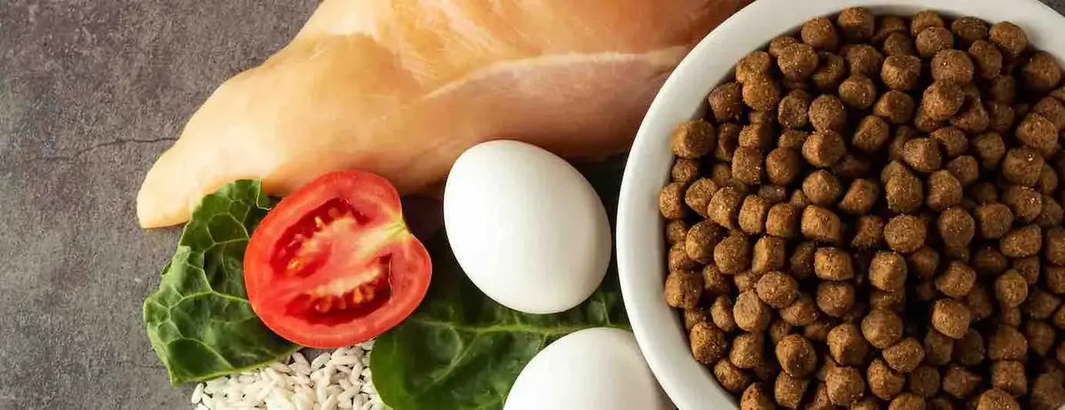 Croquettes avec ou sans céréales pour chat et chien : Que choisir ?