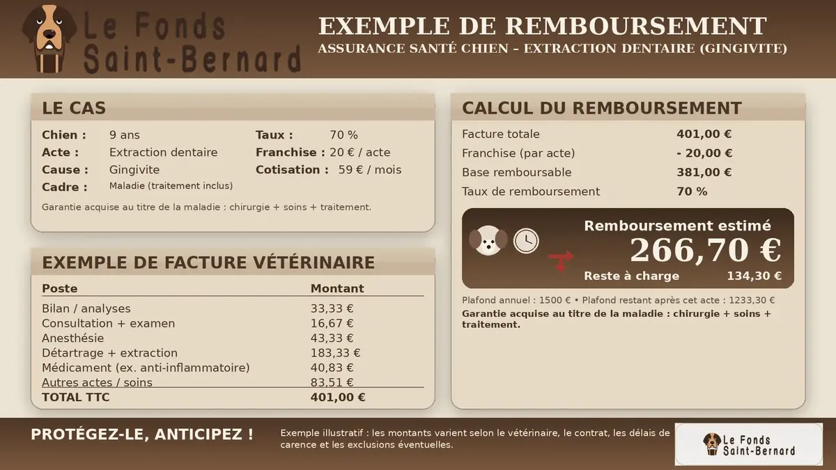 Infographie qui pr&eacute;sente un exemple de remboursement au titre de l'assurance sant&eacute; chien
